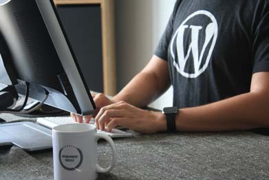wordpress web development kathmandu